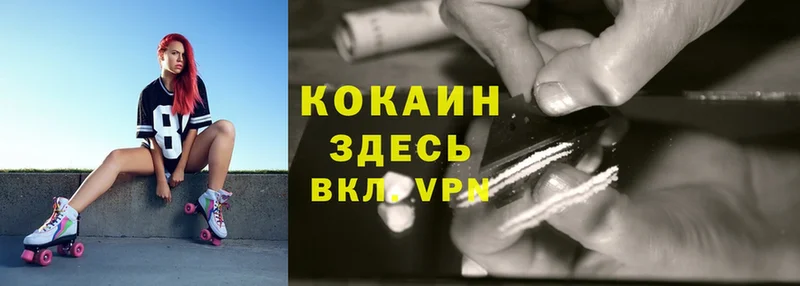 Cocaine Fish Scale  как найти   Цивильск 